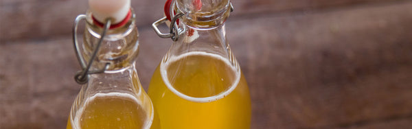 Make Your Gut Happy: Introducing Kombucha Making Kits!