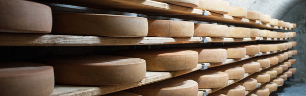 Keep Fromage Fresh: How to Store Cheese