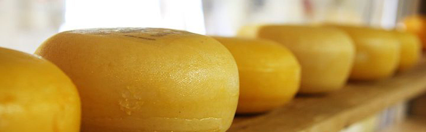 5 Things to Know About Microbial Rennet