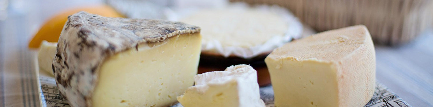How to Make Cheese: A Simple FAQ to Get You Started