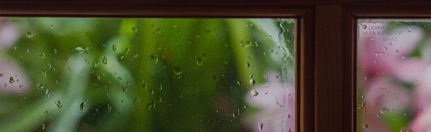 Rain, Rain, Come Again, Go Away Another Day