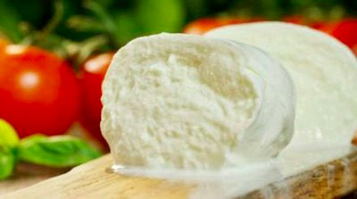 Standing Stone Farms Ultimate Cheese Making Kit