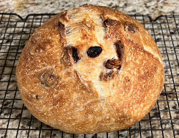 120 Year old Active Sourdough Bread Starter