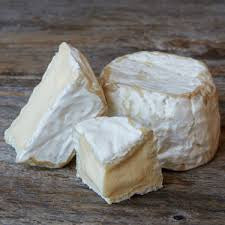 Penicillin Candidum for Bloomy RInd Cheeses