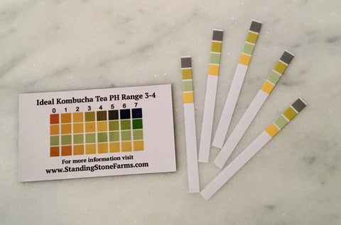 Kombucha Tea Magnetic PH Chart and PH Sticks